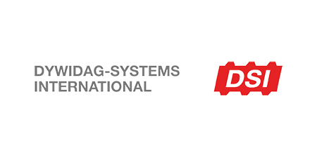 DSI logo